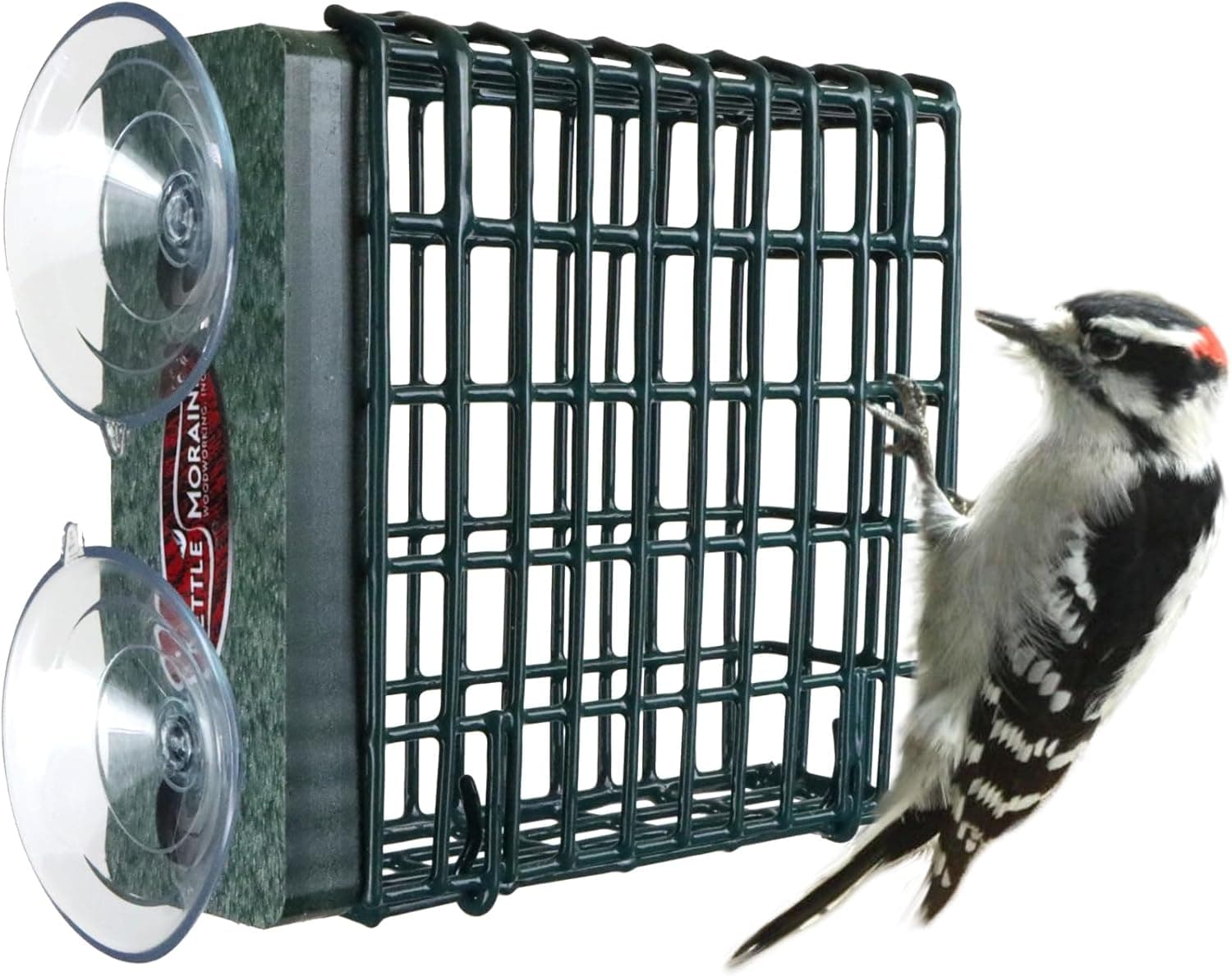 A window bird feeder for holiday elf setups.